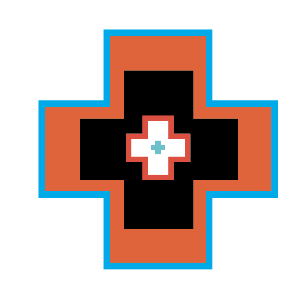 Bird + Arrow Visual Identity Symbol